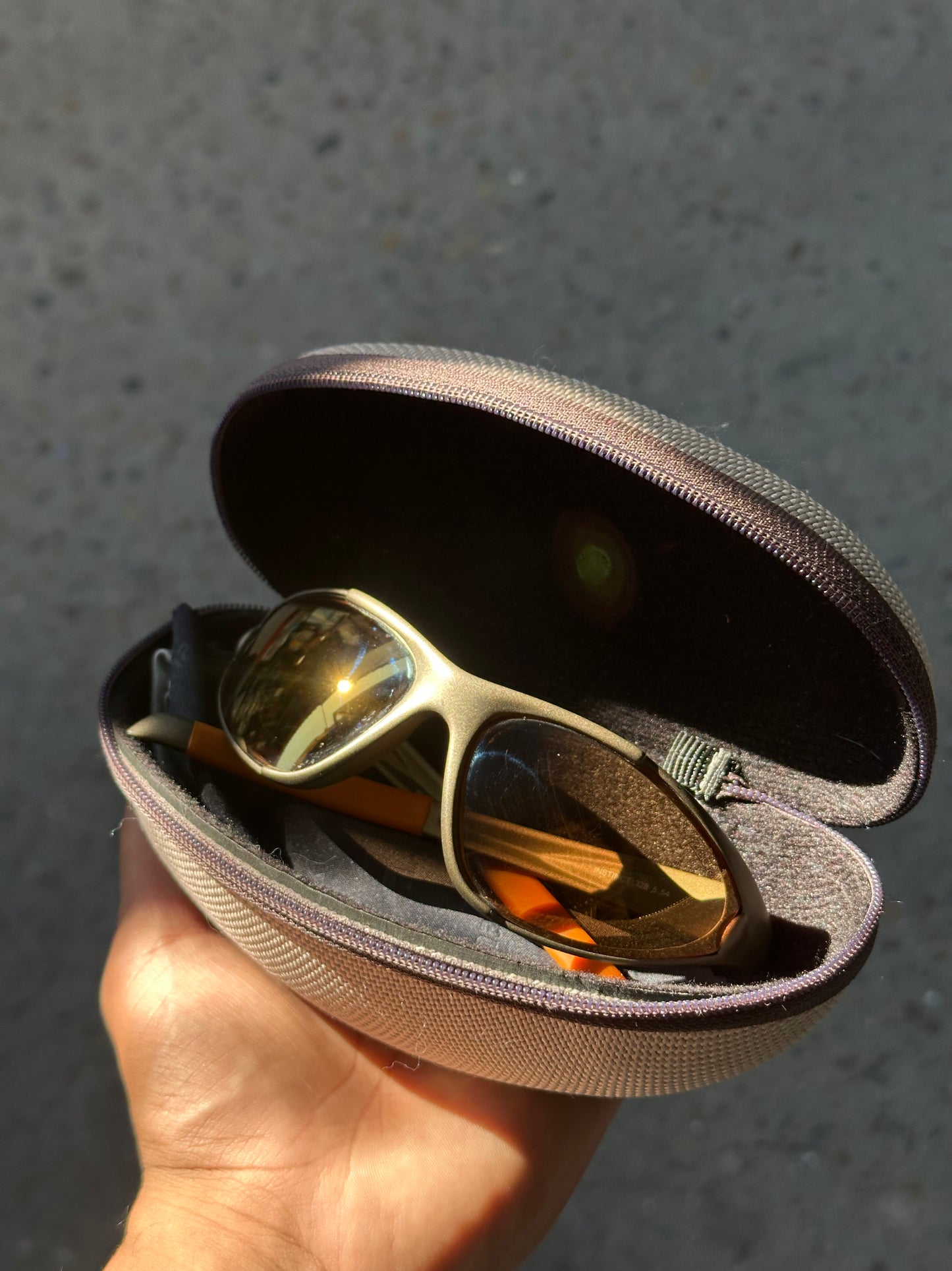 Julbo Instict Zebra