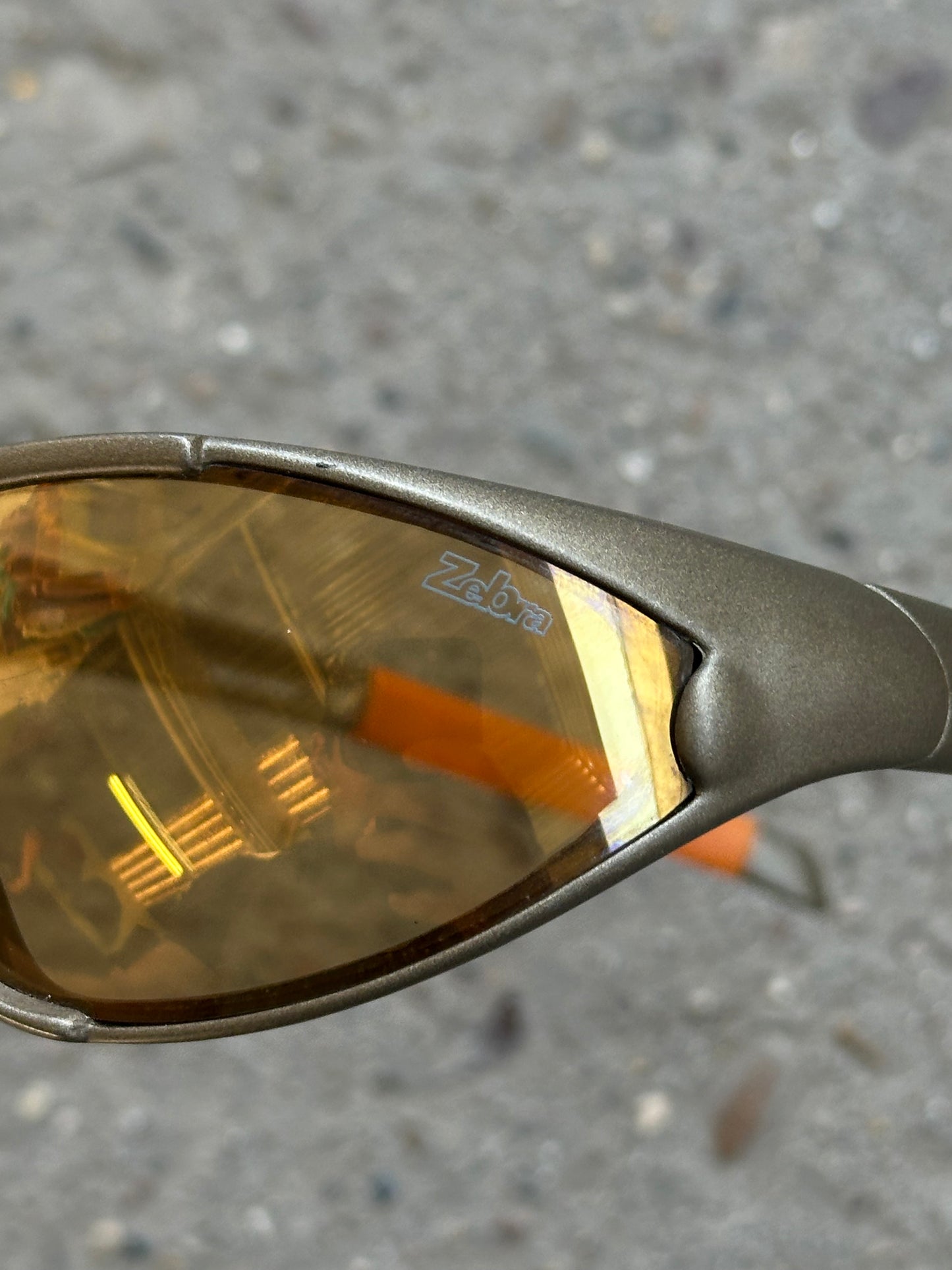 Julbo Instict Zebra
