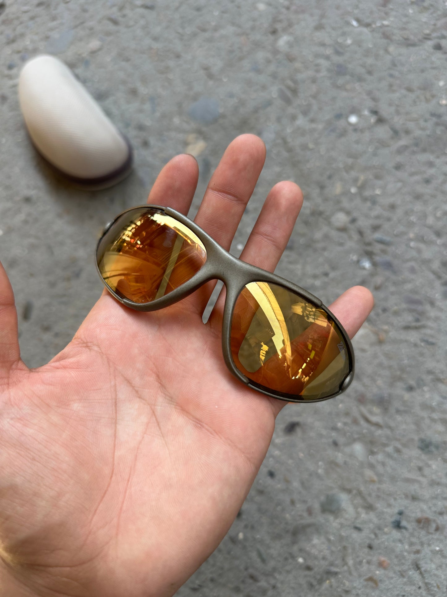 Julbo Instict Zebra